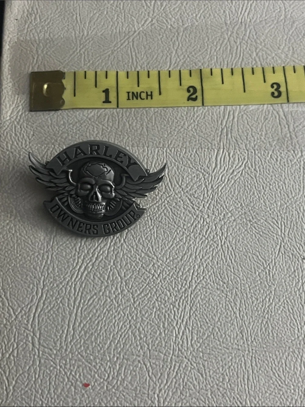 Harley Owners Group Silver-tone Skull Lapel Pin